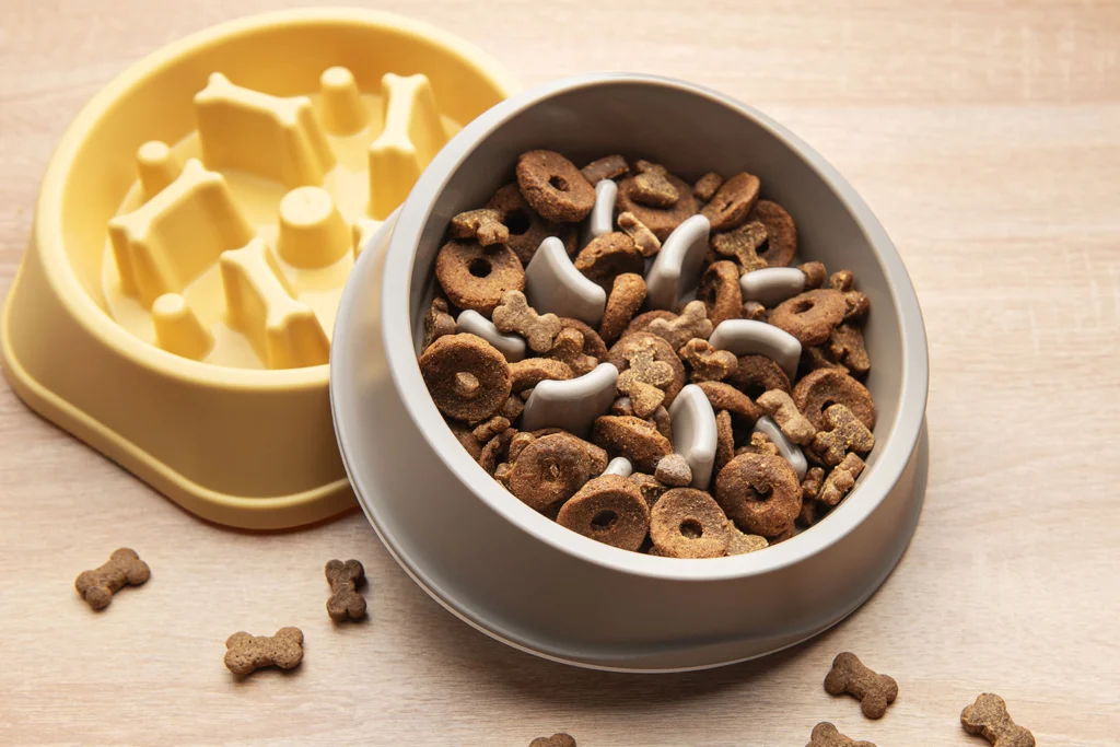 Cat food bowl